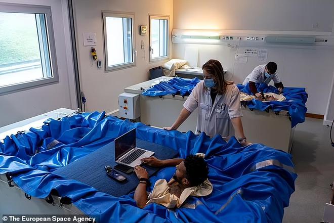 躺10天报酬5000欧？国外机构高薪招“试睡员”全程悬浮躺水床上(图1)