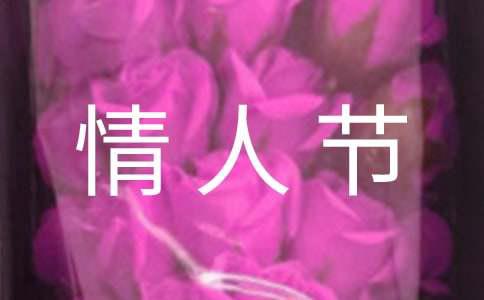 情人节家具广告语220句(图1)