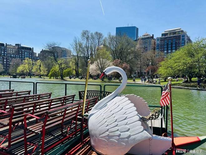 女租客退房拉黑房东8只猫被遗弃屎尿遍地！家具全毁损失数千！(图1)