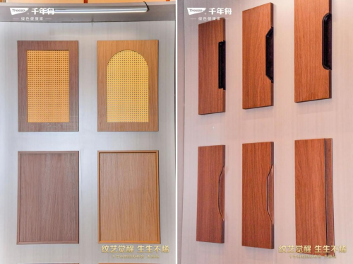 纹艺觉醒·生生不烯丨千年舟太原家具厂新品发布会盛大举行(图2)