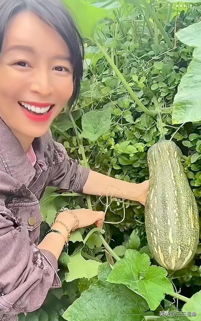 45岁张静初晒北京别墅独栋两层带院子家具都“包浆”了(图3)