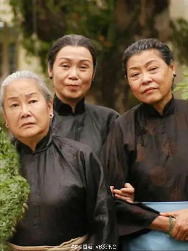 突发！黎姿的姑妈黎宣离世享年93岁 《真情》阿家成电视史经典深入民心(图13)