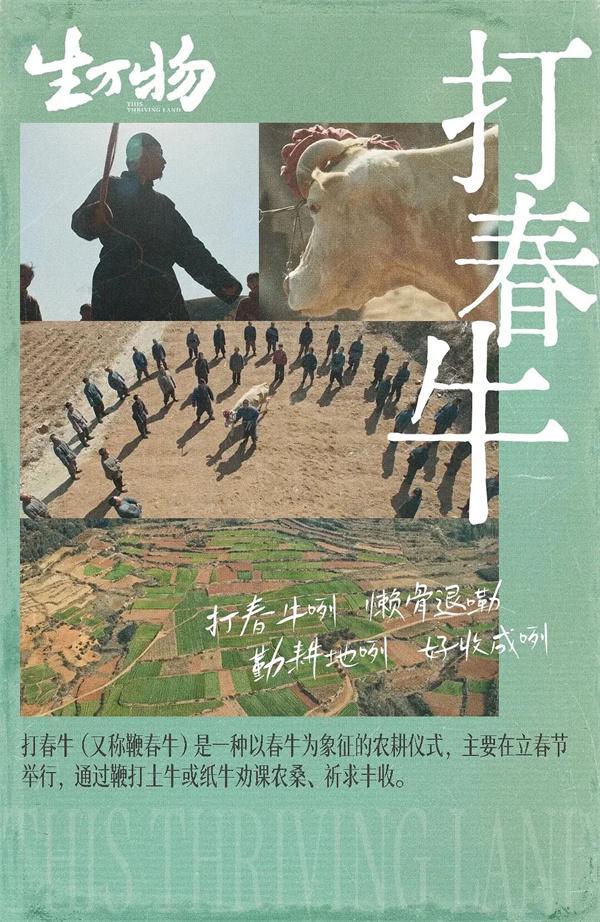 看《生万物》懂山东红木家具品牌巧夺天工红木(图2)