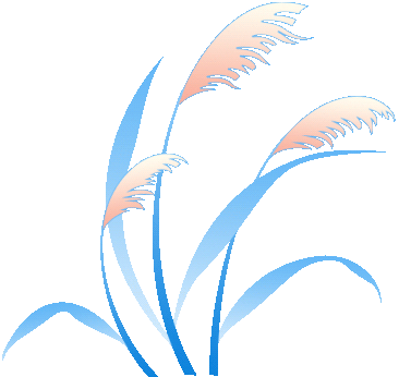 探访河南免陪照护服务试点(图1)