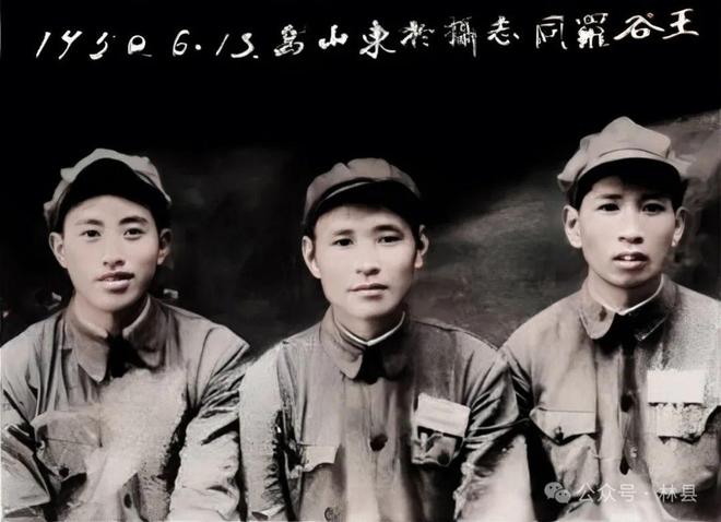 《林县南下长江支队——人人都是“谷文昌”式好干部》全文(图33)