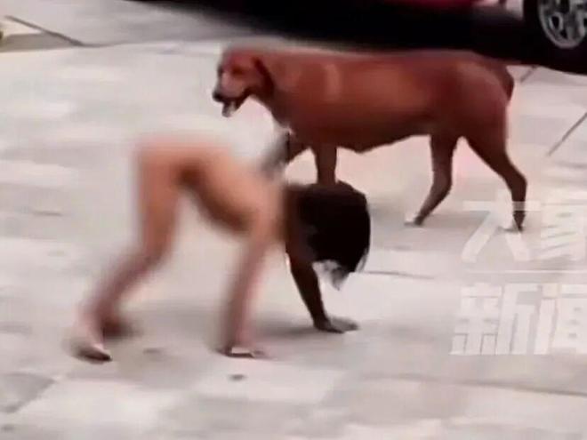 作为职业律师我认为“野人小孩”的父母已涉嫌多项违法犯罪(图2)