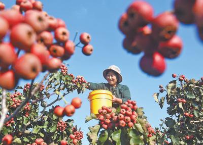 看！身边故事里的“十四五”民生答卷(图5)