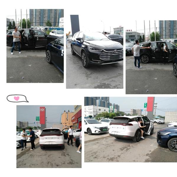 查不下去了菲律宾反贪专员大批辞职矛头直指总统小马科斯(图1)