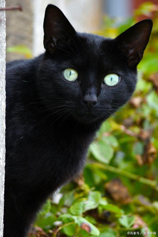 上海凶宅试睡员住在被灭门的凶宅里1晚竟意外改变了我一生(图6)