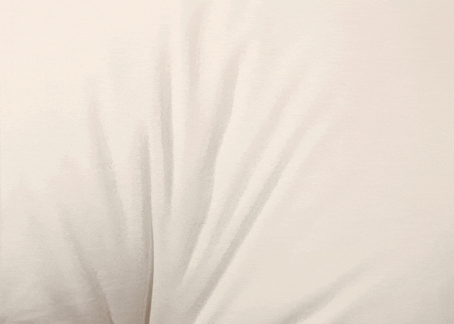 199元入手澳洲进口的100%纯羊毛被？希尔顿这波“羊毛”不薅实在亏！！(图5)