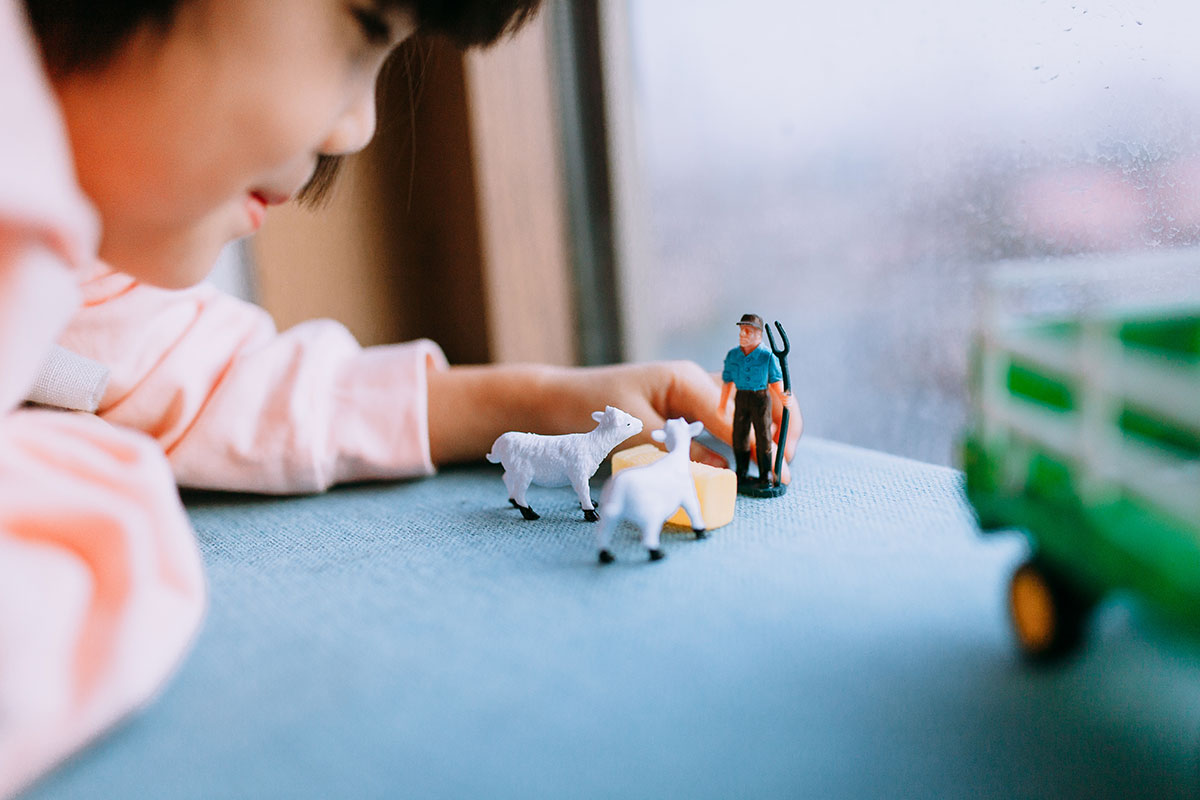 口袋妖怪无界203汉化版(图1)