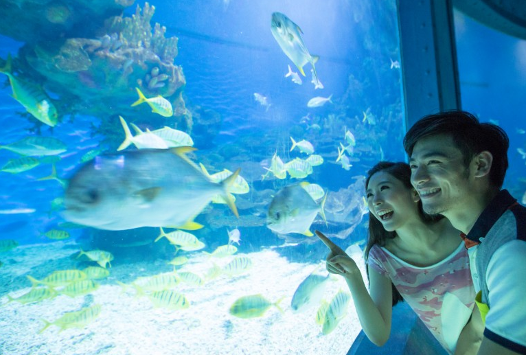 武汉亲子游览年票跨年增强版上线(图2)