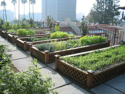 武汉亲子游览年票跨年增强版上线(图5)