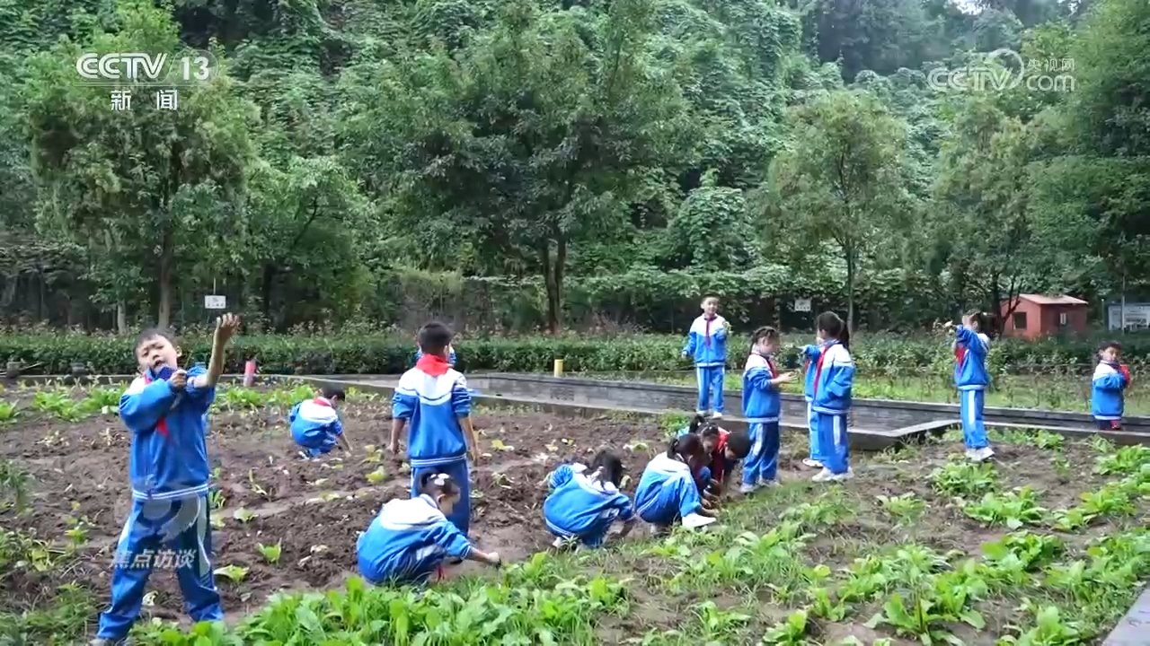 焦点访谈 如何让春秋假兼顾温度与实效？各地多元探索新可能(图5)