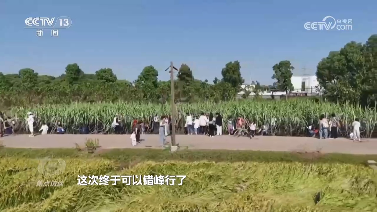 焦点访谈 如何让春秋假兼顾温度与实效？各地多元探索新可能(图10)