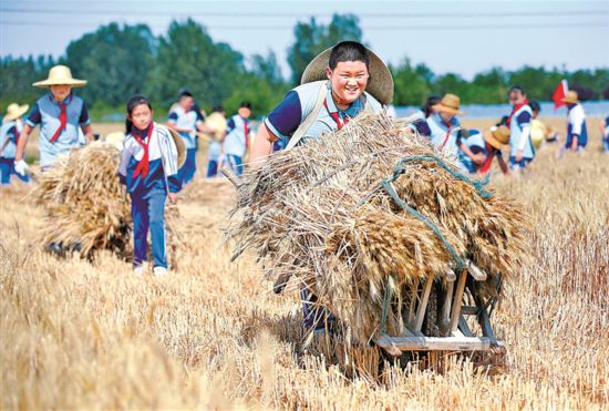 如何让孩子们更好直面未来(图3)